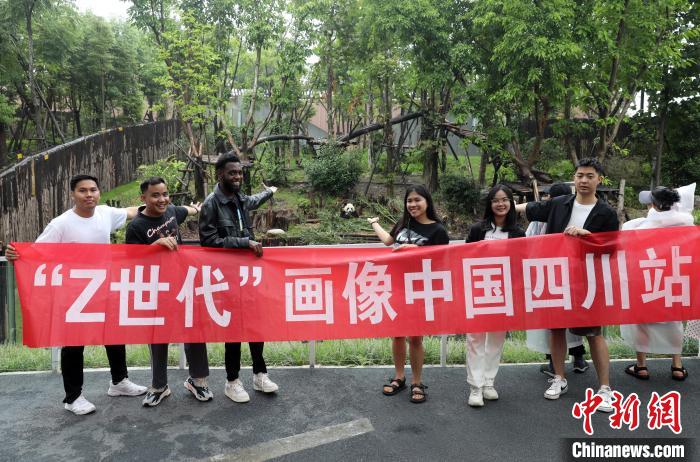 “Z世代”画像中国｜外国青年在成都圆“大熊猫梦”：“我感受到人与自然的和谐”